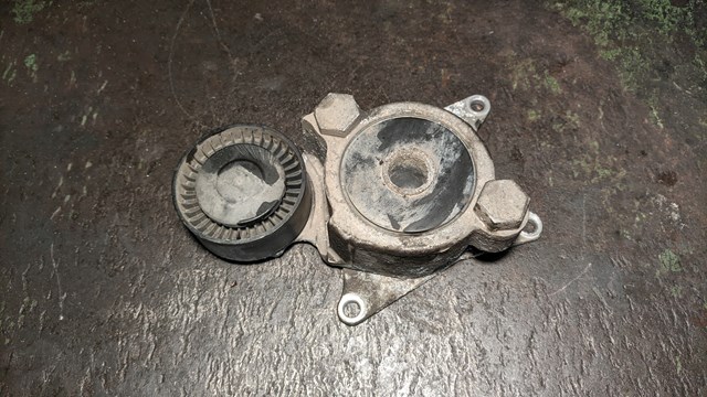 Натяжитель клинового ремня 166200R010 TOYOTA