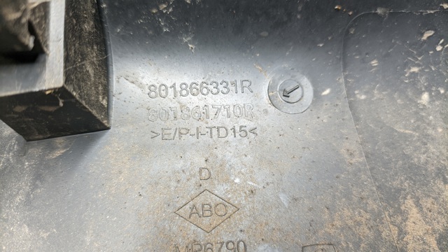 801861710R RENAULT Молдинг двери передней правой купить в Чернигов
