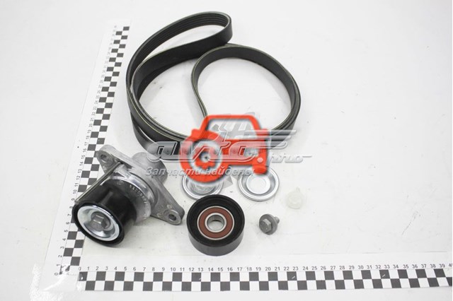 117206746R Renault (RVI) ремень агрегатов приводной, комплект