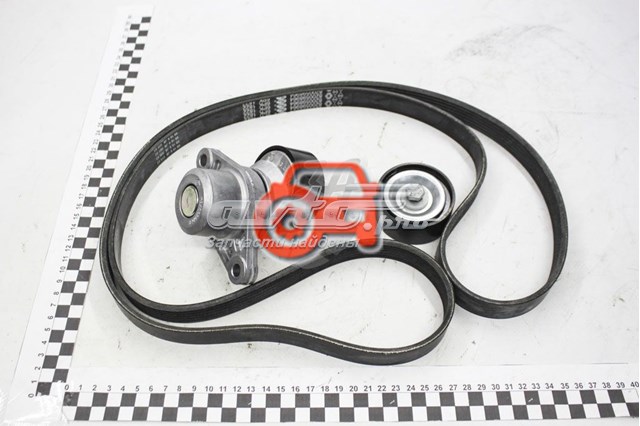 117206838R Renault (RVI) ремень агрегатов приводной, комплект