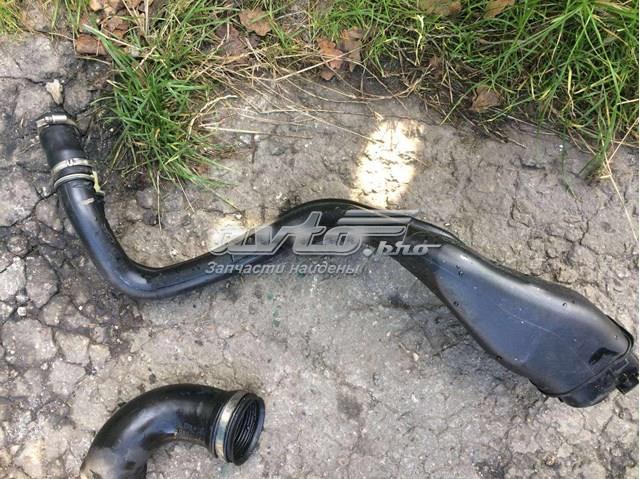 8200170233 RENAULT Горловина топливного бака купить в Тернополь
