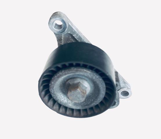 Роликовий модуль натяжителя ремня 117507568R RENAULT