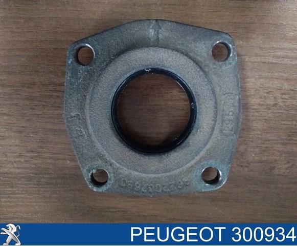 PEUGEOT 300934 Сальник полуоси переднего моста левой в наличии Львов