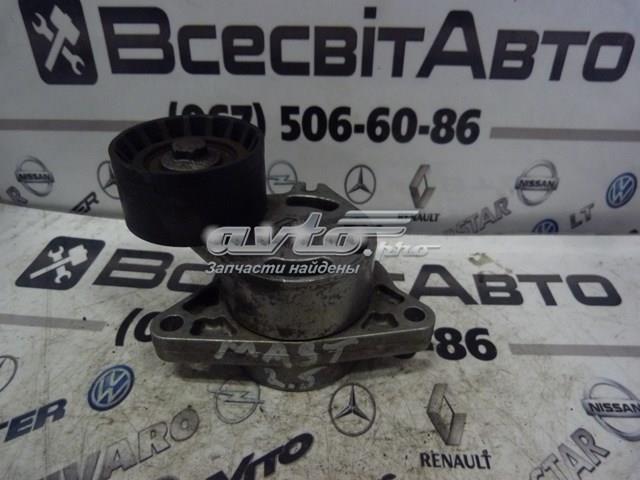 RENAULT 0802410121 Натяжитель приводного ремня в наличии Хмельницкий
