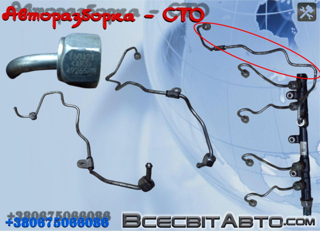 Трубка топливная, от ТНВД к топливной рейке 1681800Q1F NISSAN