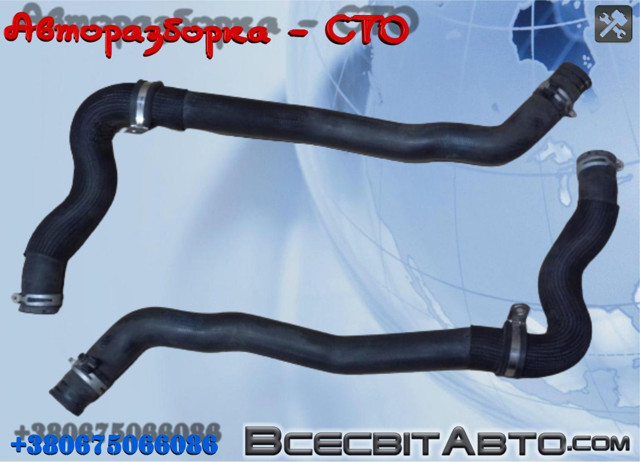 Шланг радиатора охлаждения 215010012N RENAULT