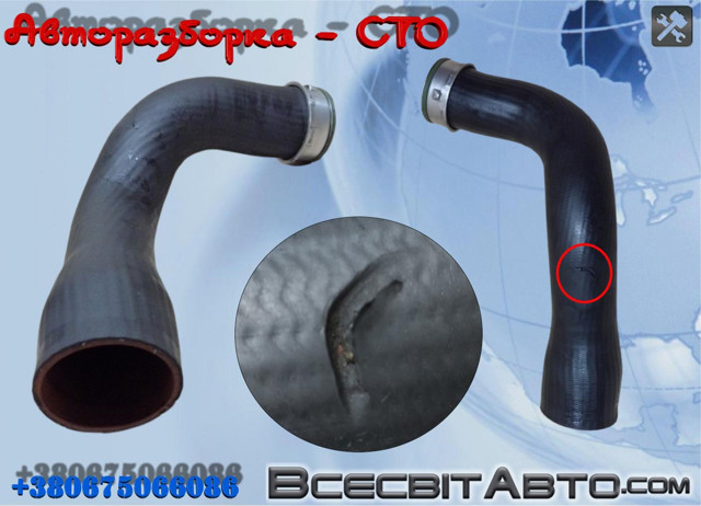 Шланг/патрубок интеркуллера 55116862AC CHRYSLER