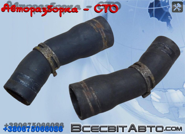 7701062288 RENAULT Шланг (патрубок) системы охлаждения купить в Винница