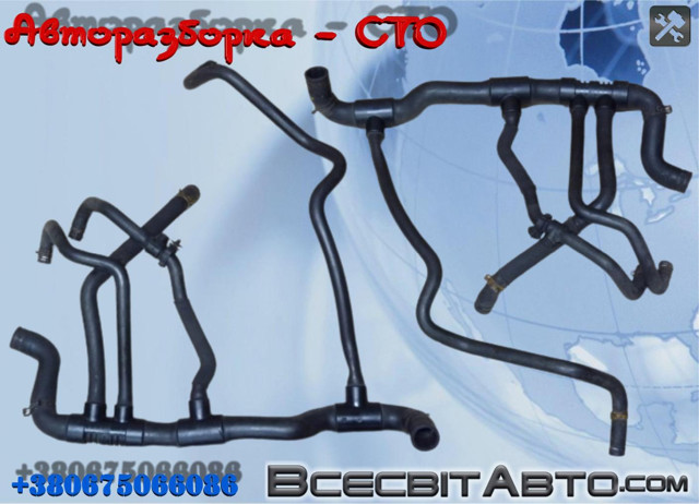 8200262890 Шланг (патрубок) радиатора охлаждения нижний купить Сумы
