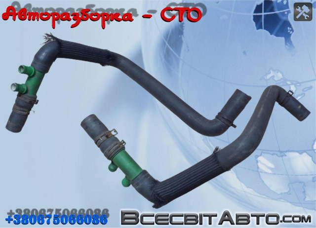 Шланг радиатора, нижний 8200413834 RENAULT