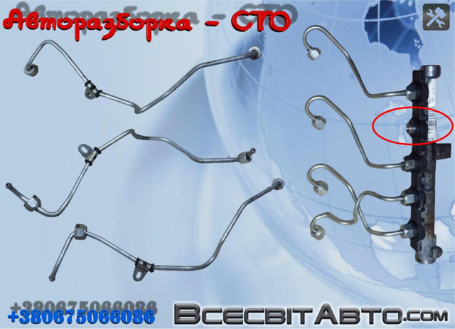 Трубка топливная, от ТНВД к топливной рейке 8200855942 RENAULT