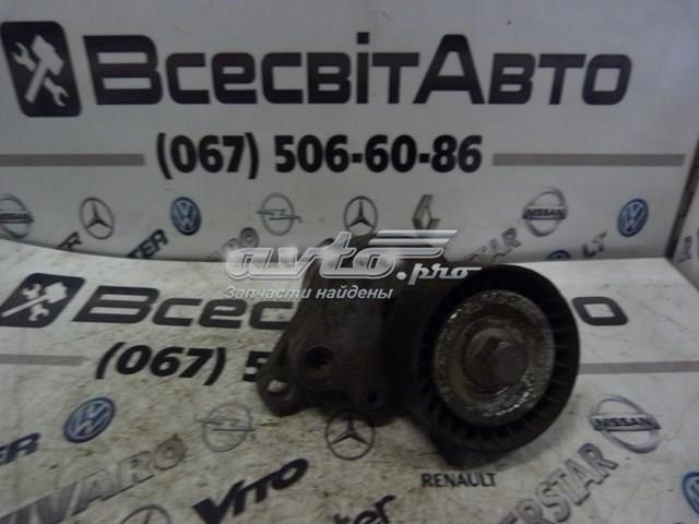RENAULT 8200941079 Натяжитель приводного ремня в наличии Тернополь