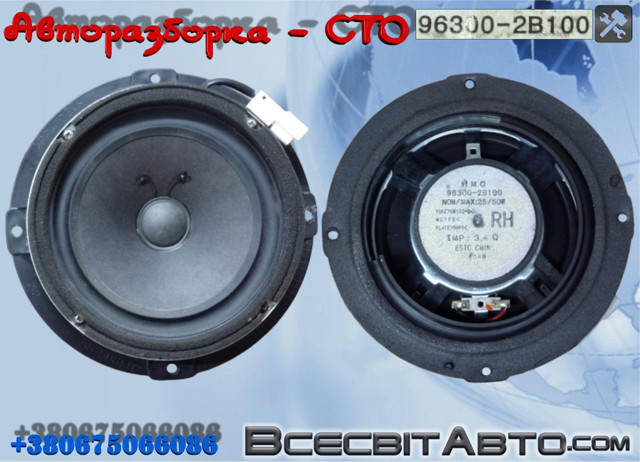 Динамик передней двери 963002B100 HYUNDAI