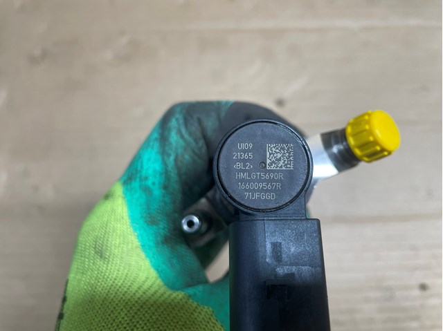 166009567R RENAULT Топливные форсунки купить в Полтава