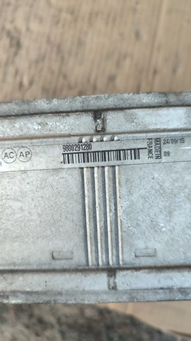 PEUGEOT 9800291280 Интеркулер в наличии Хмельницкий