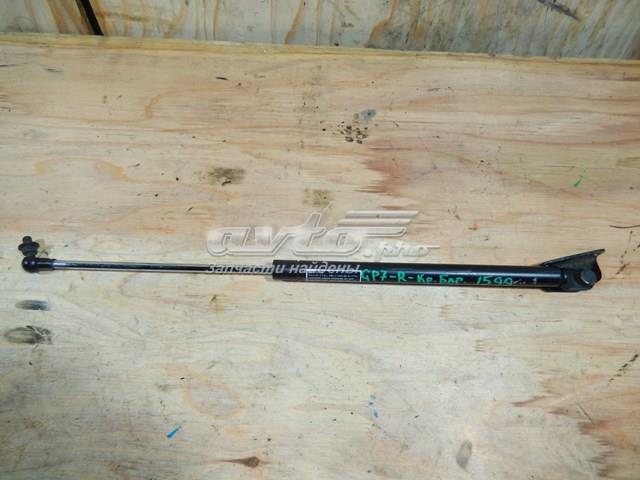 SUBARU 63269FJ000 Амортизатор багажника в наличии Тернополь