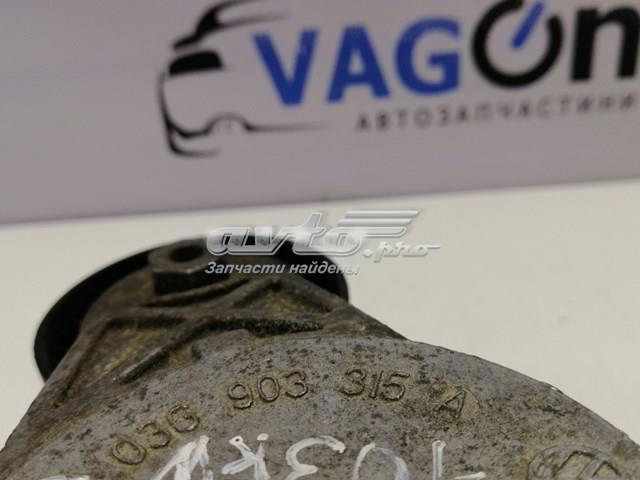 03G903315A VAG Натяжитель приводного ремня купить в Хмельницкий