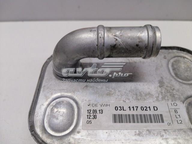 03L117021D VAG Радиатор масляный (холодильник), под фильтром купить в Киев