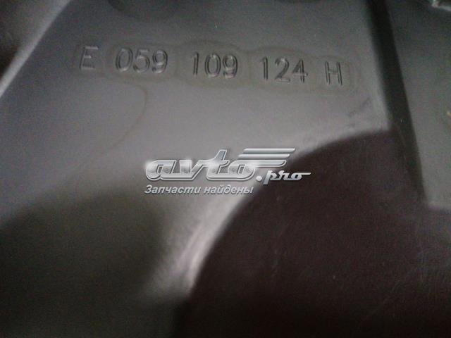 VAG 059109124H в наличии Житомир
