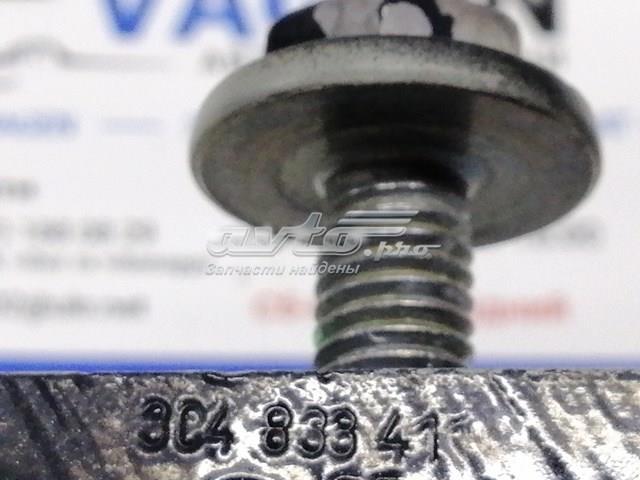 3C4833411 Петля двери задней левой купить Черкассы