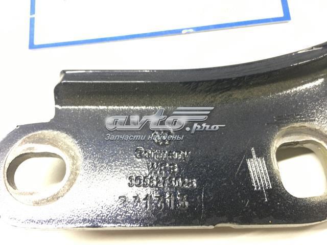 VAG 3C5827302B Петля крышки багажника в наличии Чернигов