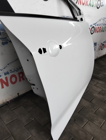 801004005R RENAULT Дверь передняя правая купить в Украина