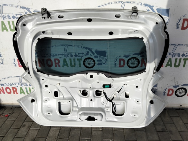 901003877R RENAULT Дверь задняя (багажная 3/5-я (ляда) купить в Ирпень