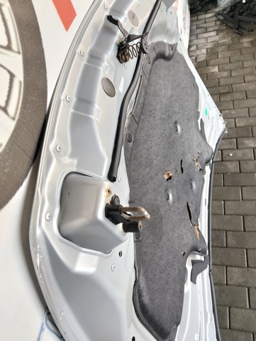 F510M1CAMA Капот купить Полтава