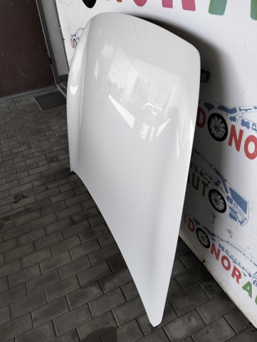 F510M1CAMA NISSAN Капот купить в Ровно