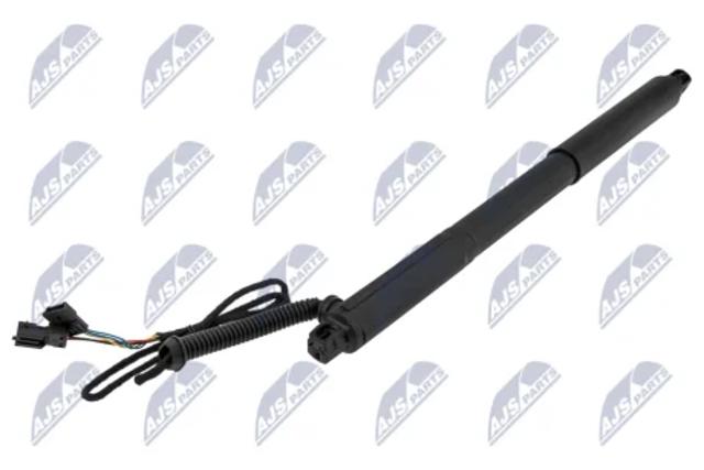 Амортизатор крышки багажника AEBM072 NTY