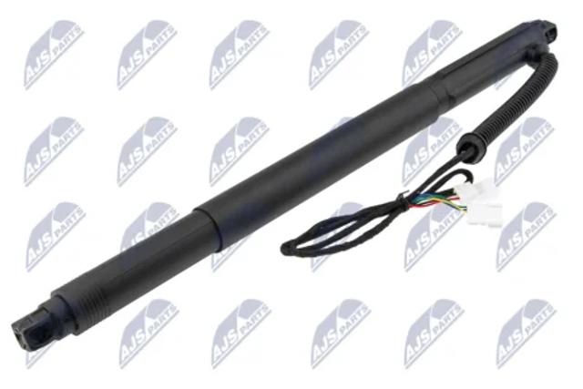 Амортизатор задней двери AEBM077 NTY