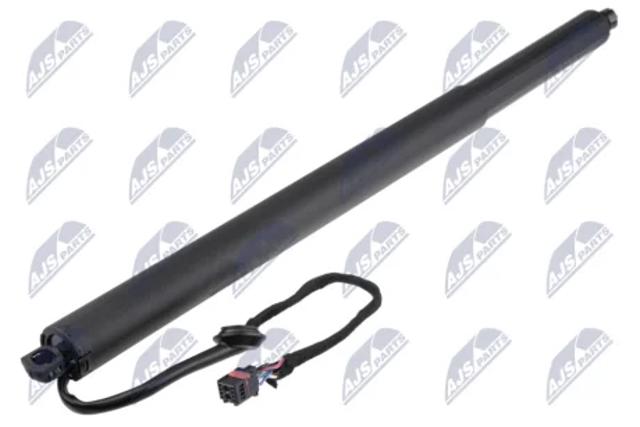 Амортизатор для багажника газовый AEHY053 NTY