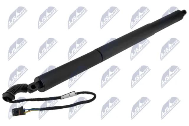 Амортизатор крышки багажника AESK027 NTY