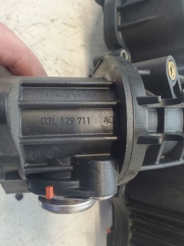 VAG 03L129711AQ Коллектор впускной в наличии Черновцы