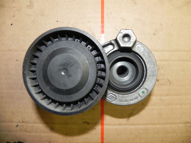 117504048R RENAULT Натяжной ролик купить в Ужгород