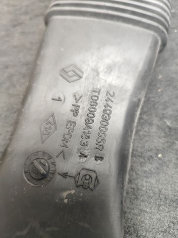 244930005R купить Черкассы