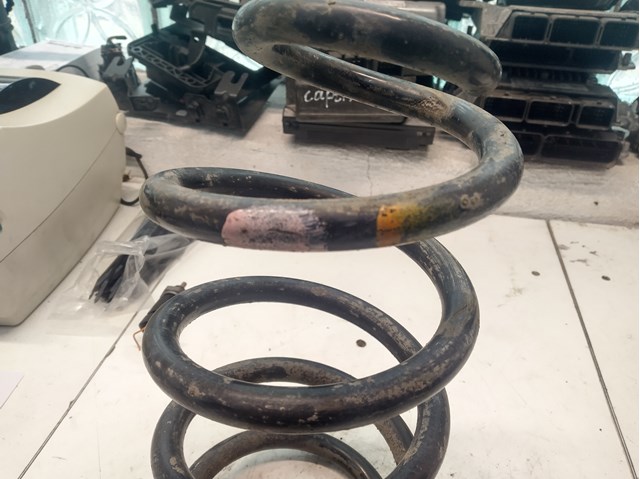 RENAULT 6001550900 Пружина задняя в наличии Ирпень