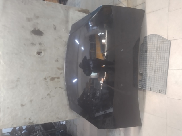 6001551793 RENAULT Капот купить в Черкассы