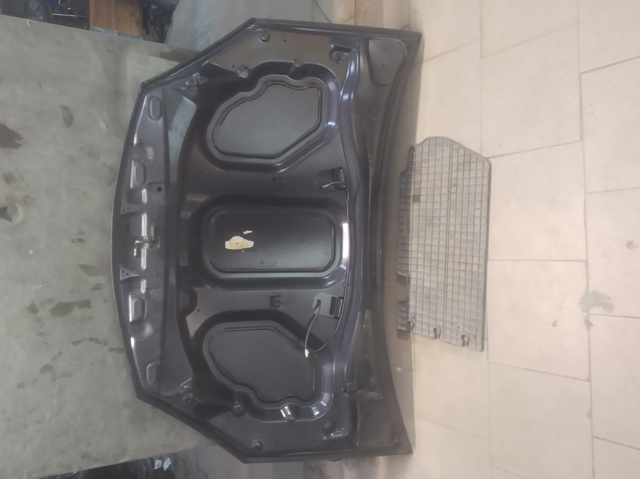 6001551793 Капот купить Запорожье