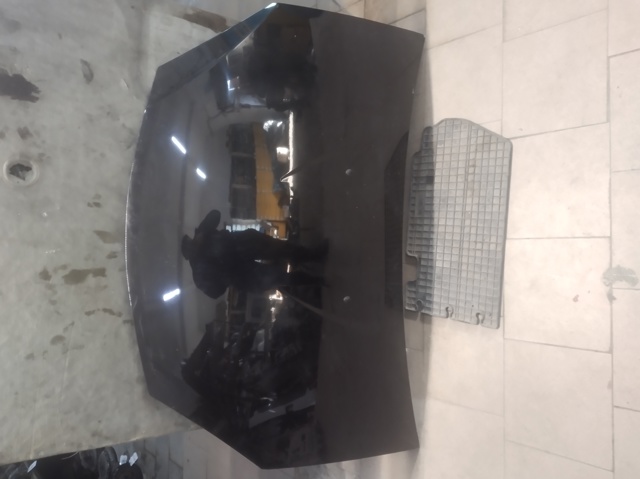 RENAULT 6001551793 Капот в наличии Днепр