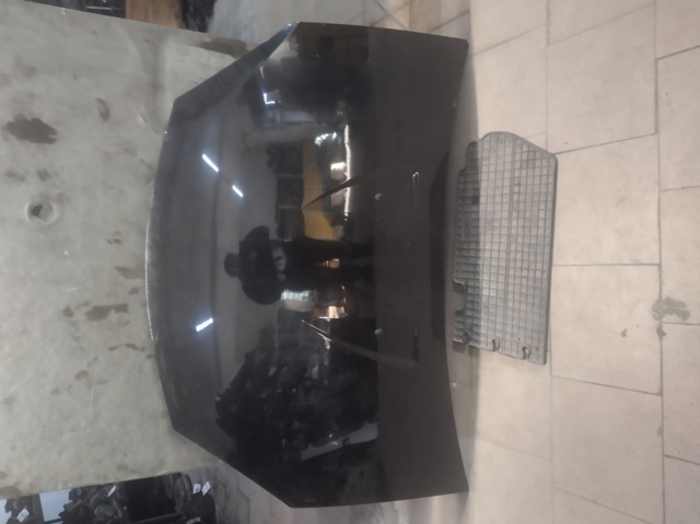6001551793 Капот купить Одесса