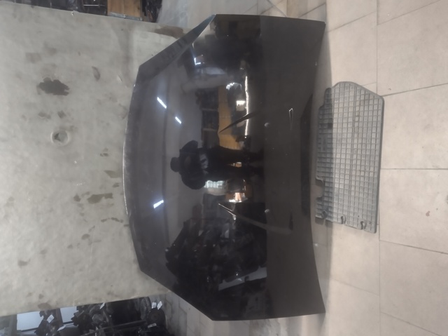 Капот двигателя 6001551793 RENAULT