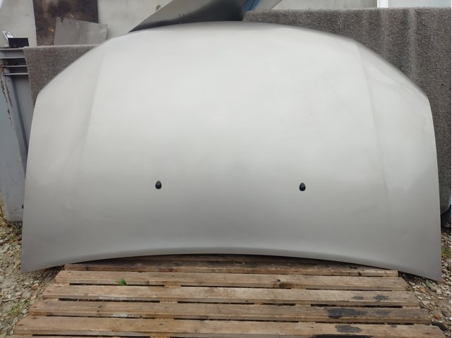 651001918R RENAULT Капот купить в Ужгород