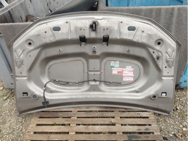 651001918R RENAULT Капот купить в Одесса