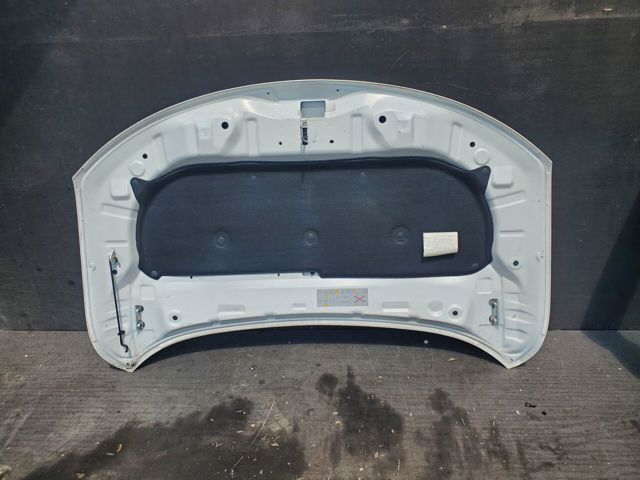 651002162R RENAULT Капот купить в Украина