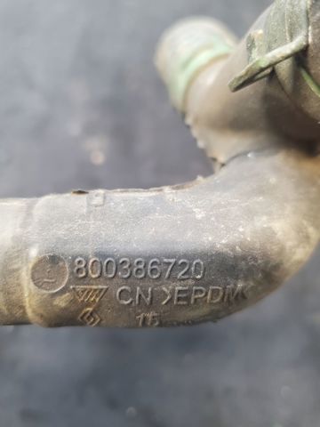 800386720 NISSAN купить в Ужгород