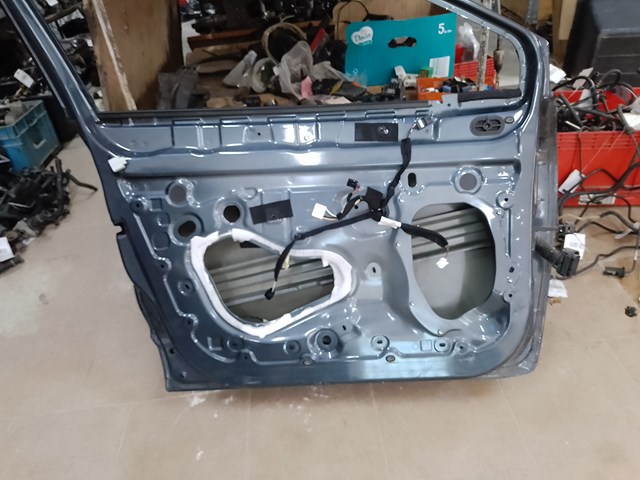 801017896R RENAULT Дверь передняя левая купить в Павлоград