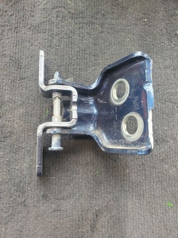 RENAULT 804207876R Петля двери передней в наличии Полтава