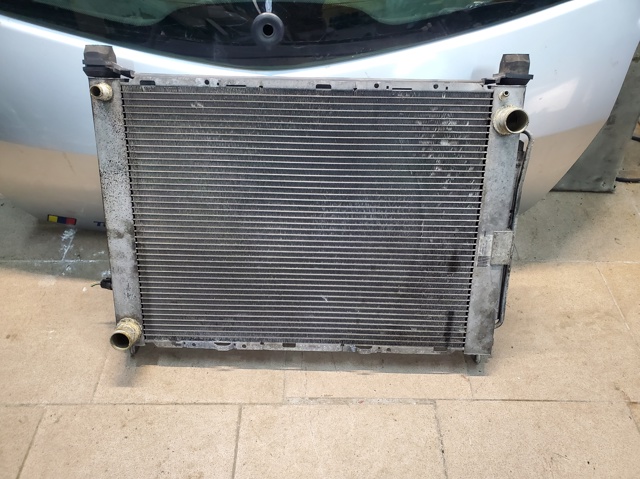 RENAULT 8200134606 Радиатор в наличии Каменское