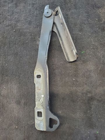 RENAULT 8200763872 Петля капота правая в наличии Кривой Рог